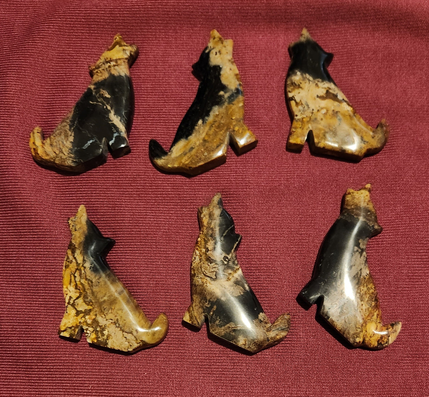 Petrified Palm Root Howling wolves