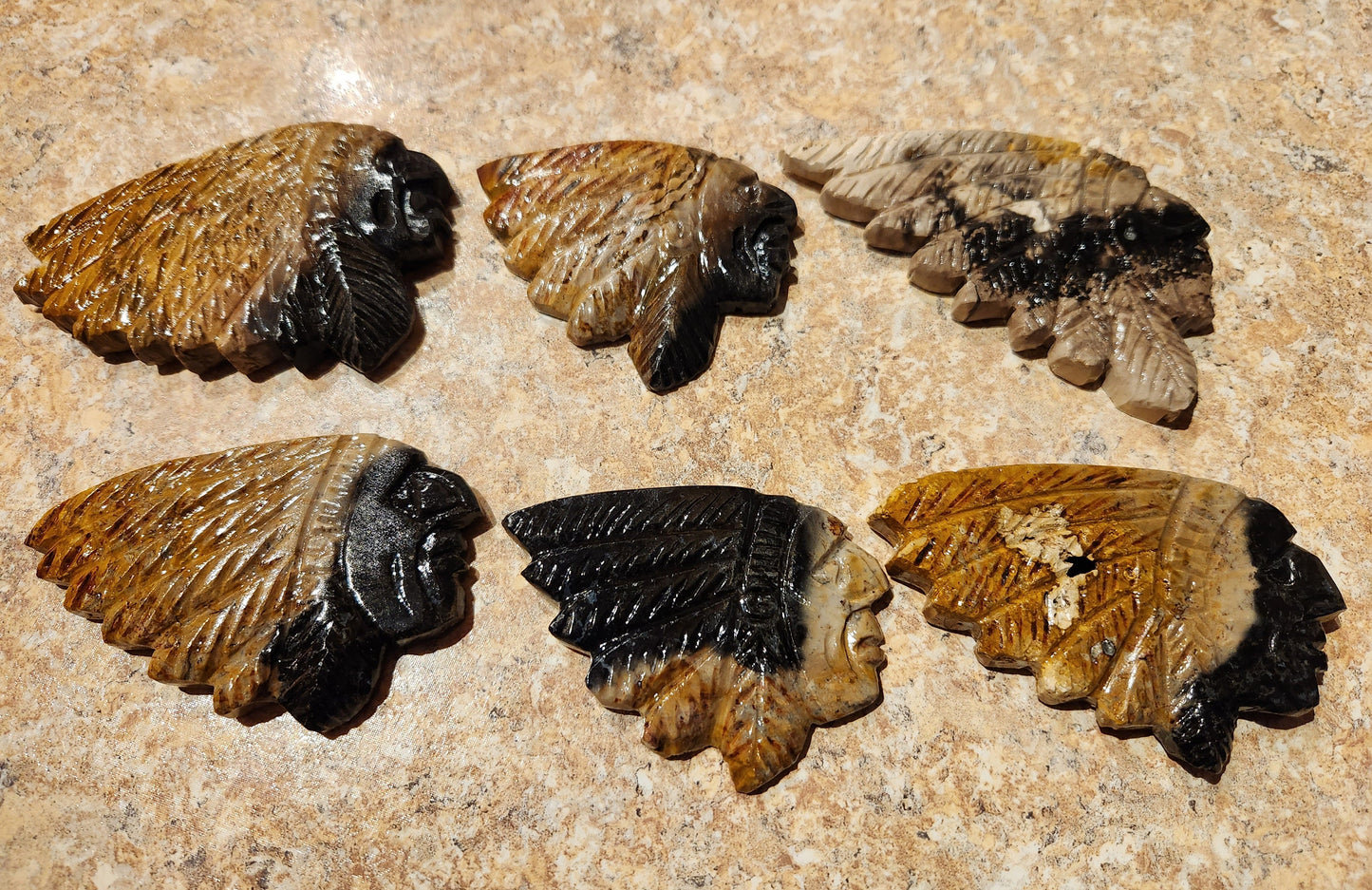 Indian Head Petrified Palm Root