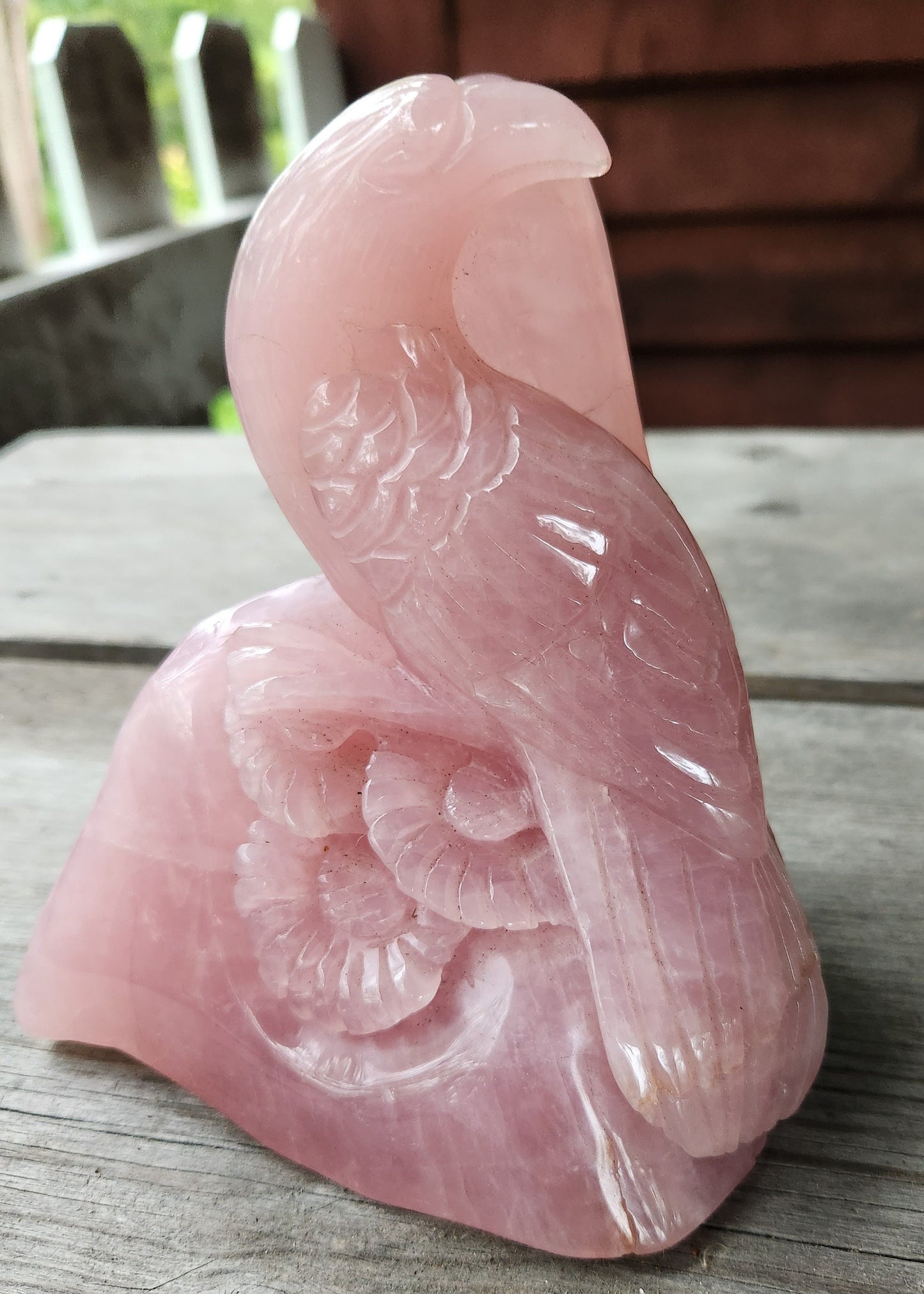 Rare Rose Quartz Carved Parrot