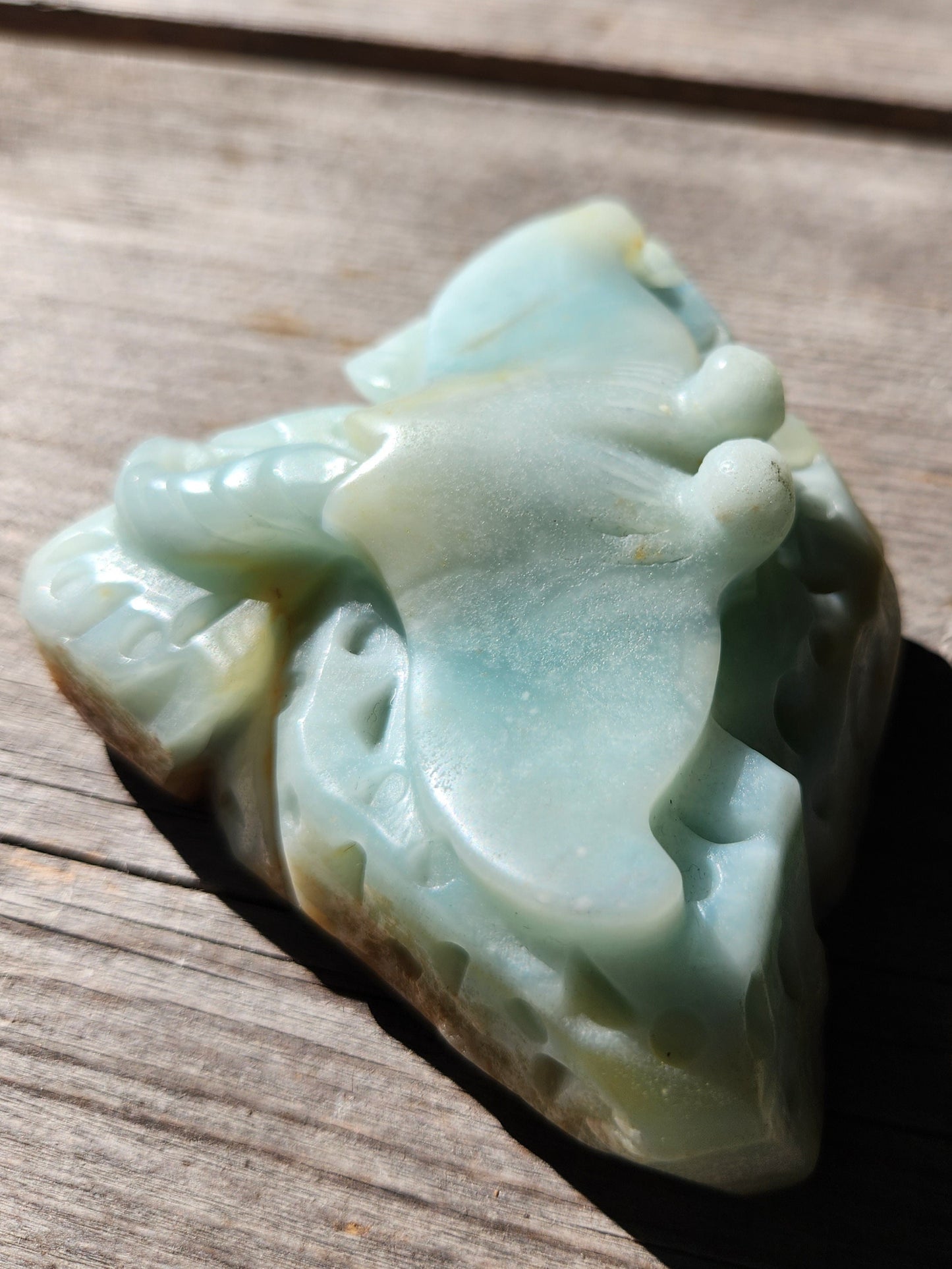 Caribbean Calcite Carved Stingray