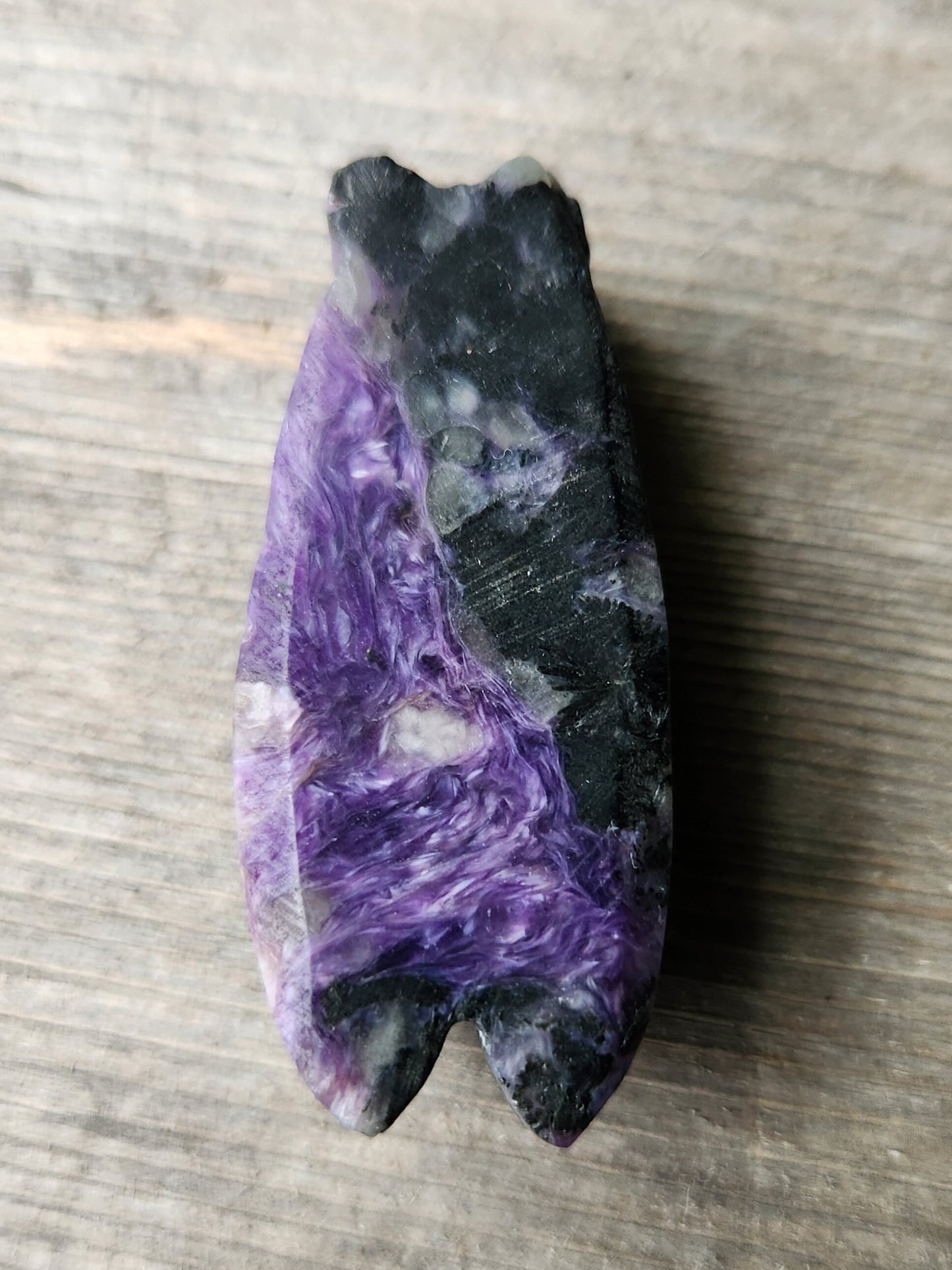 Charoite Cicada