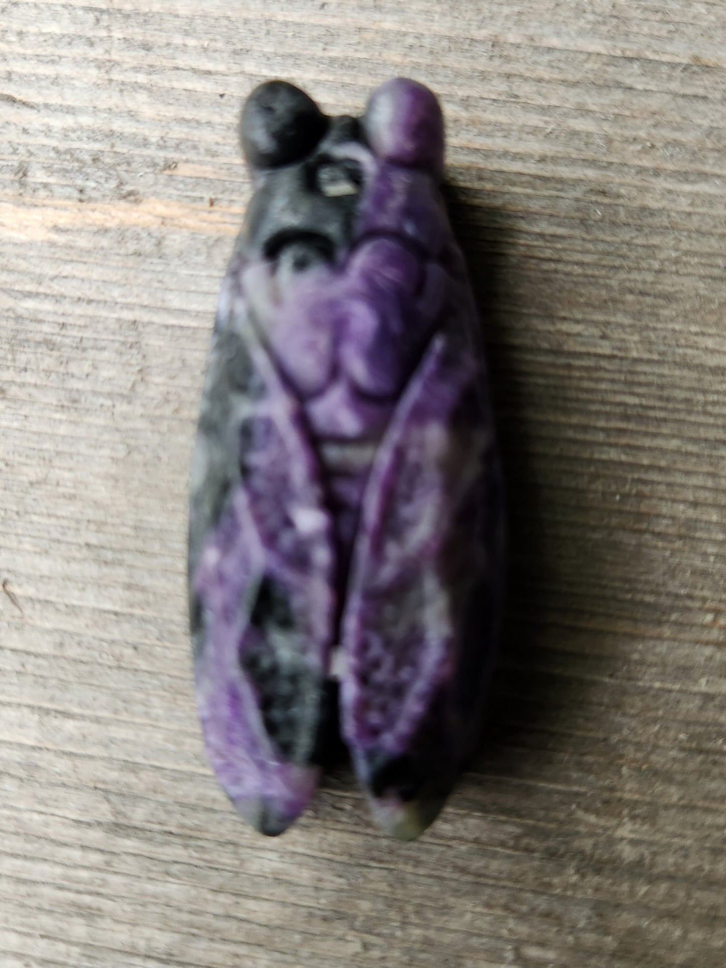 Charoite Cicada