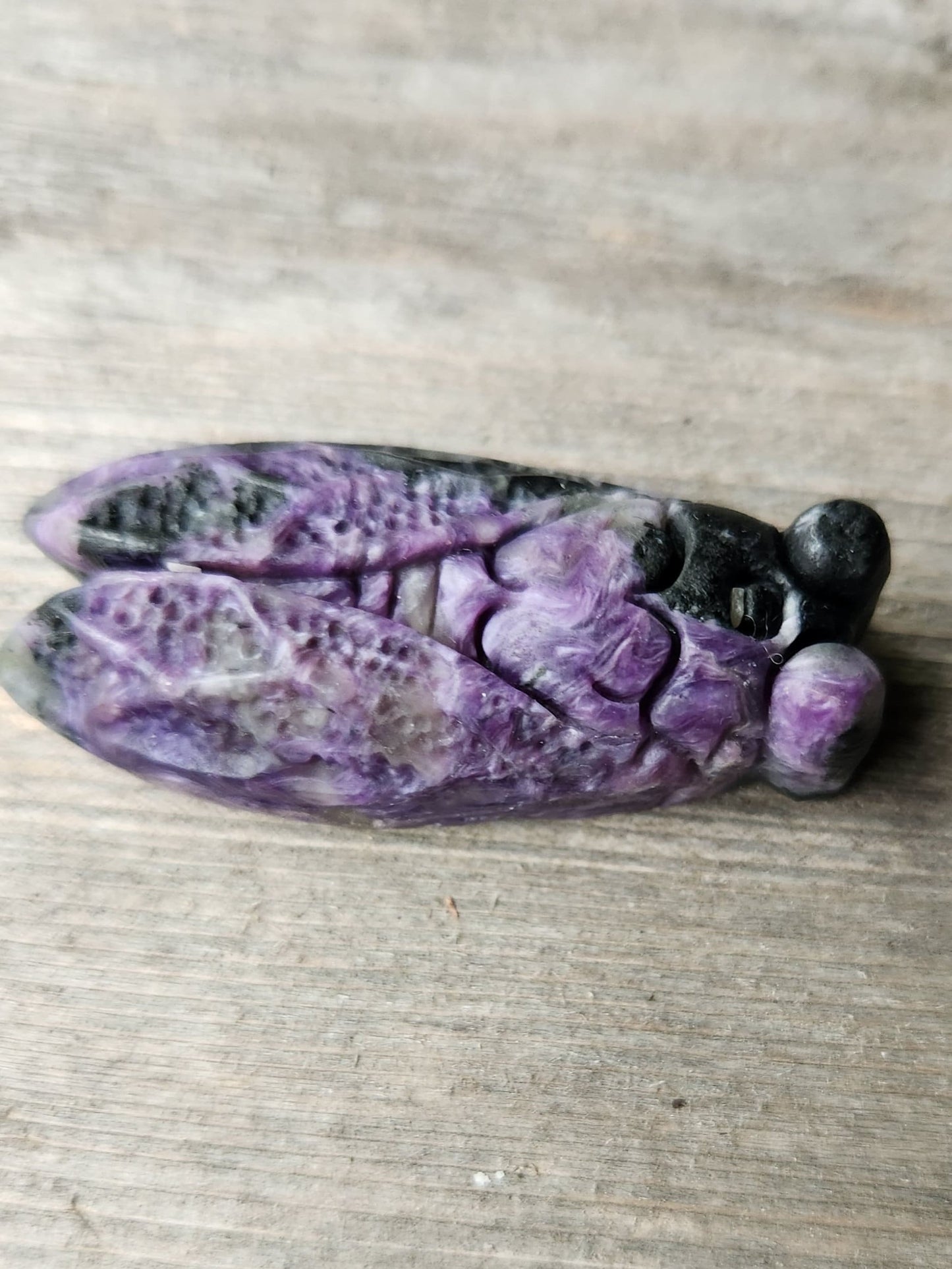 Charoite Cicada
