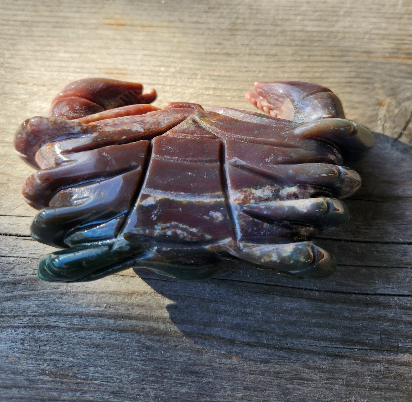 Ocean Jasper Crab