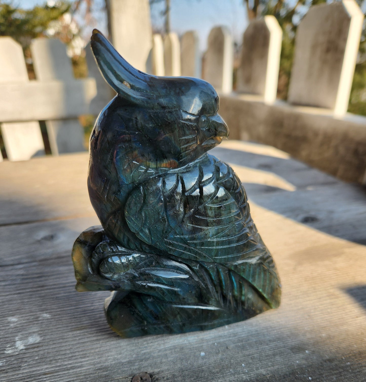 Flashy Labradorite Parrot