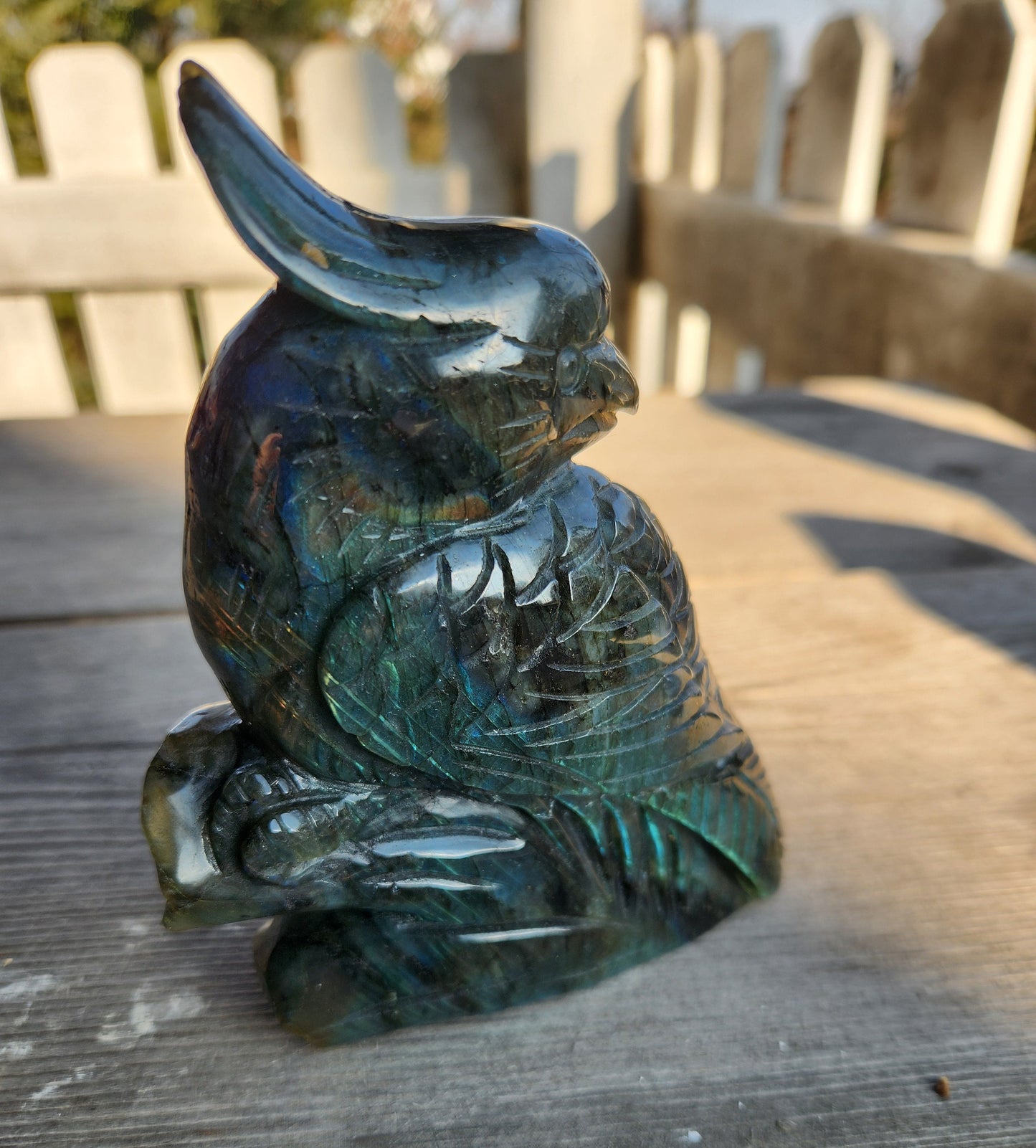 Flashy Labradorite Parrot