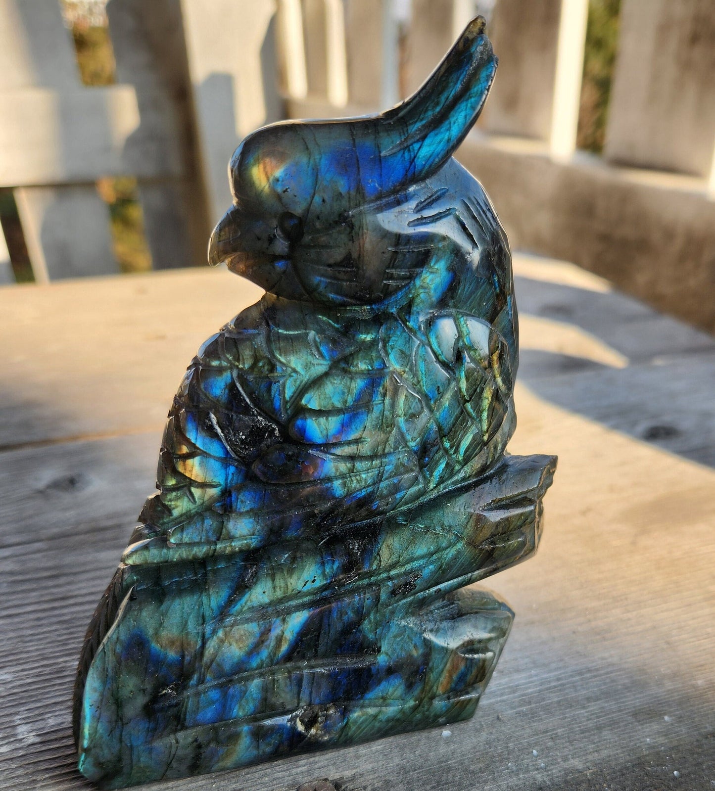 Flashy Labradorite Parrot