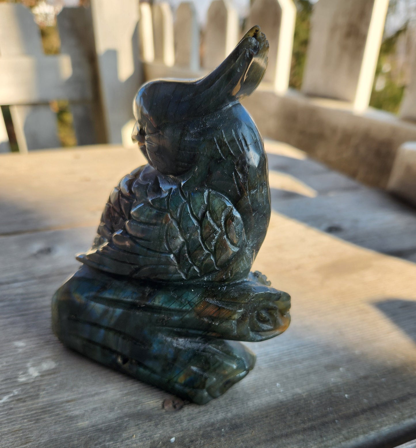 Flashy Labradorite Parrot