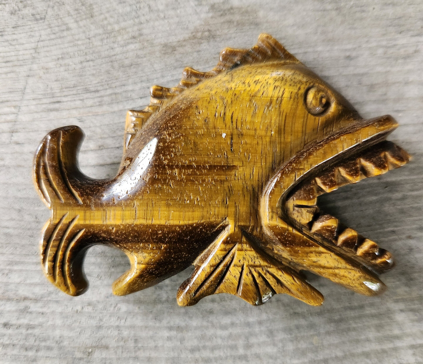 Tiger Eye Piranha