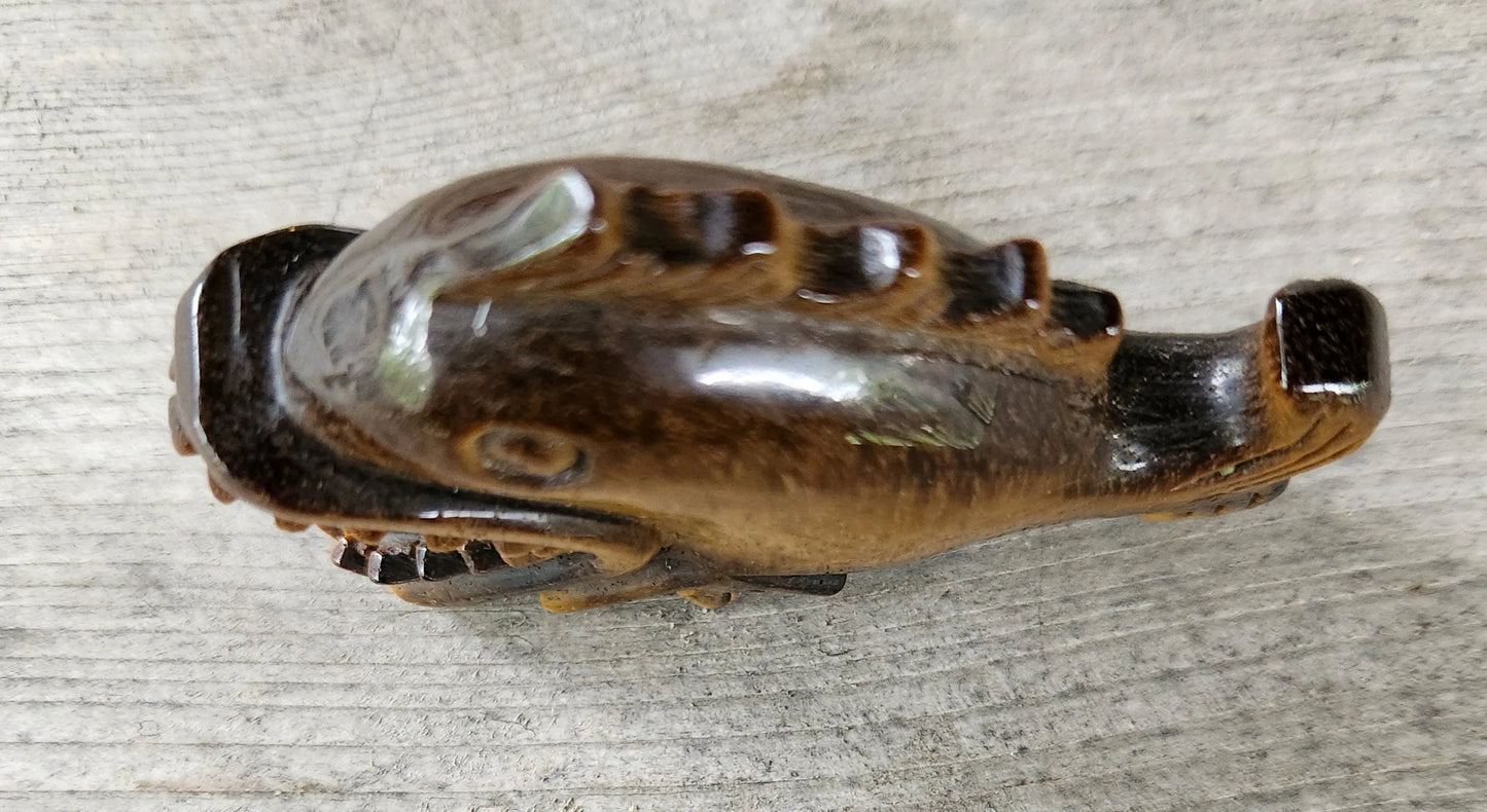 Carved Tiger's Eye Piranha Fish Etsy