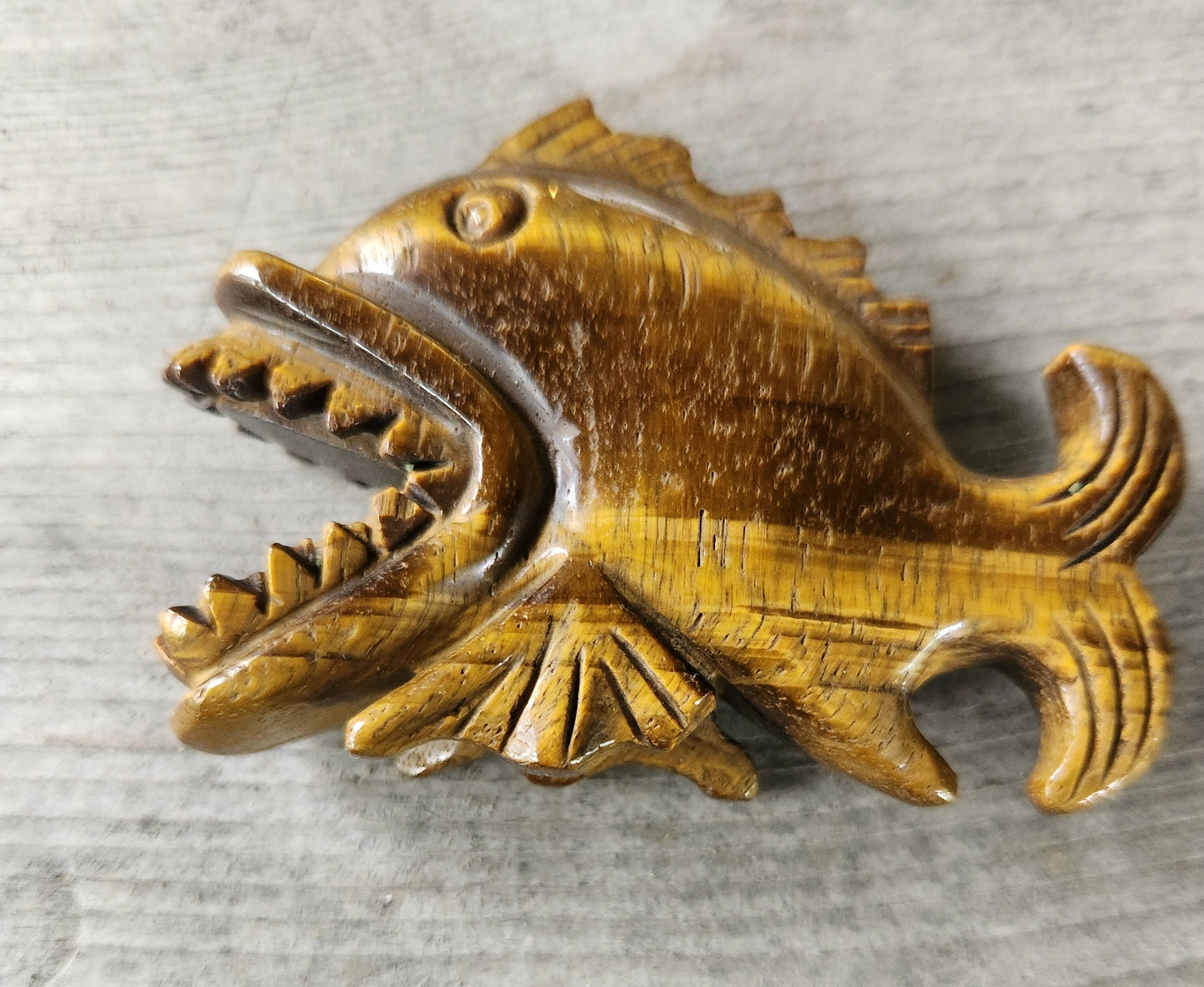 Tiger Eye Piranha