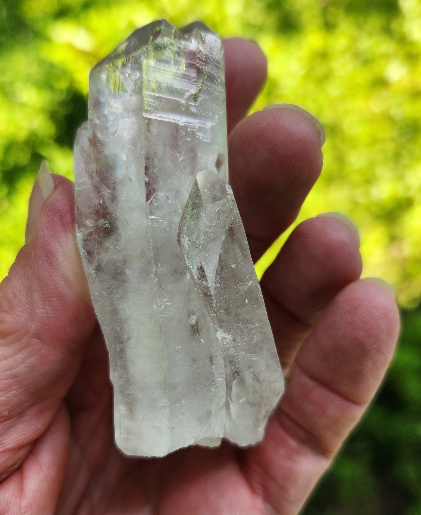Clear Lemurian Seed Quartz Cluster
