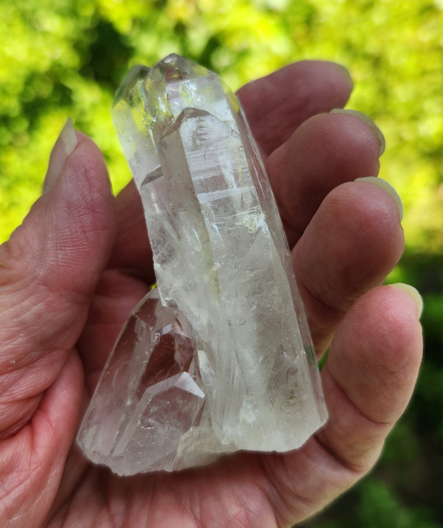 Clear Lemurian Seed Quartz Cluster