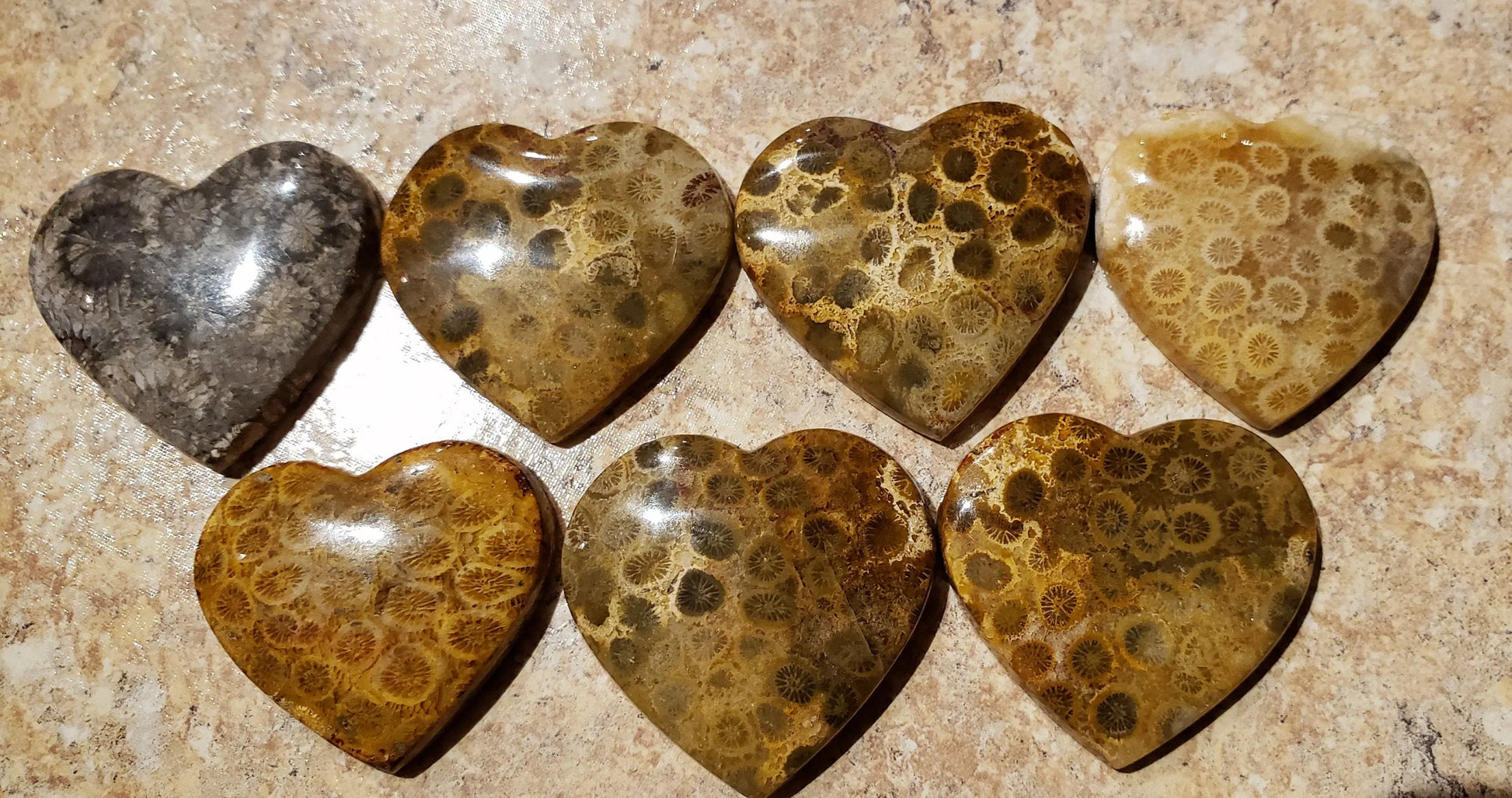 Fossil Coral Carved Hearts, Fossil Coral, Unusual Gift, Beautifully Marked, 35mm Etsy