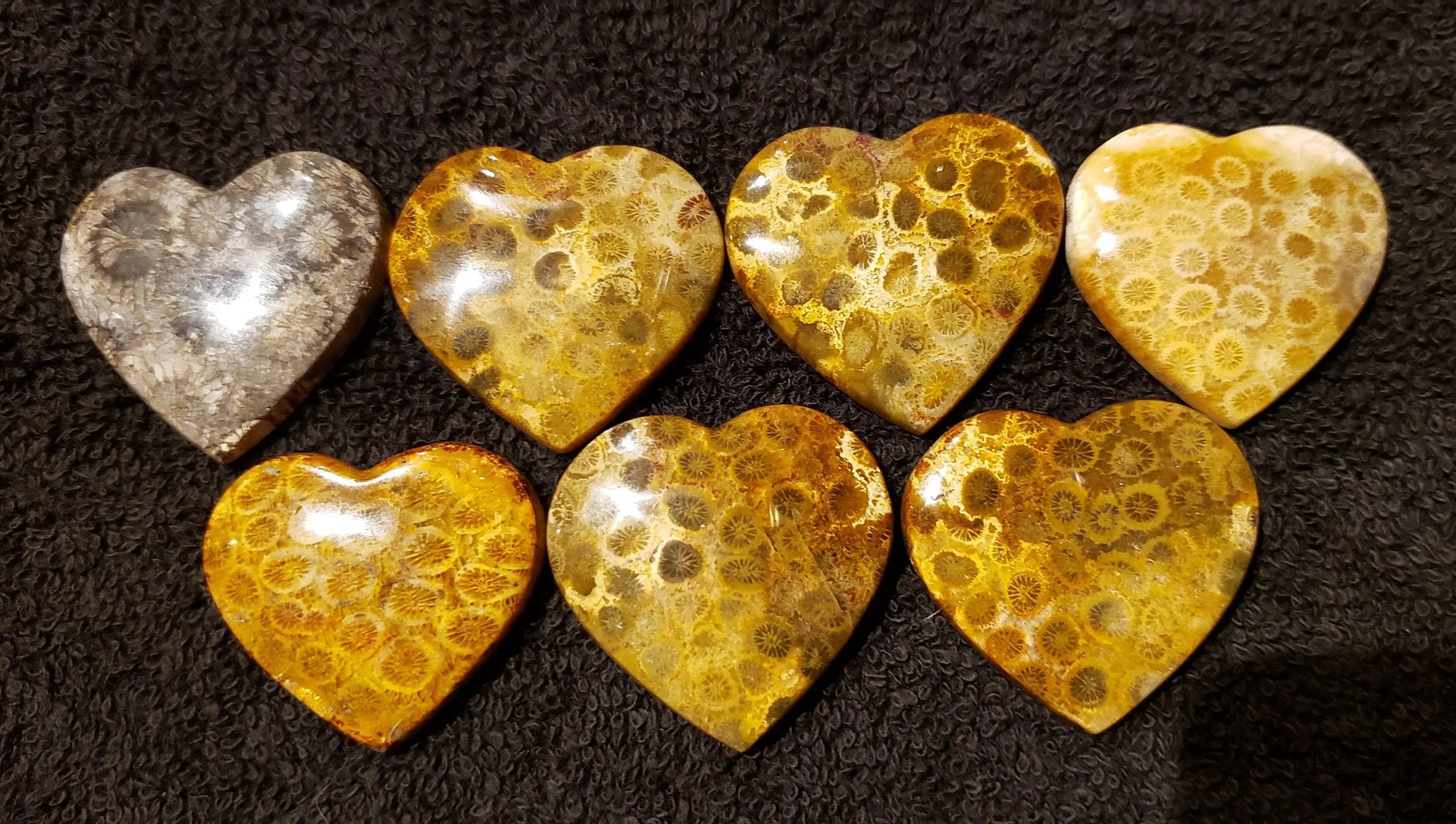 Fossil Coral Carved Hearts, Fossil Coral, Unusual Gift, Beautifully Marked, 35mm Etsy