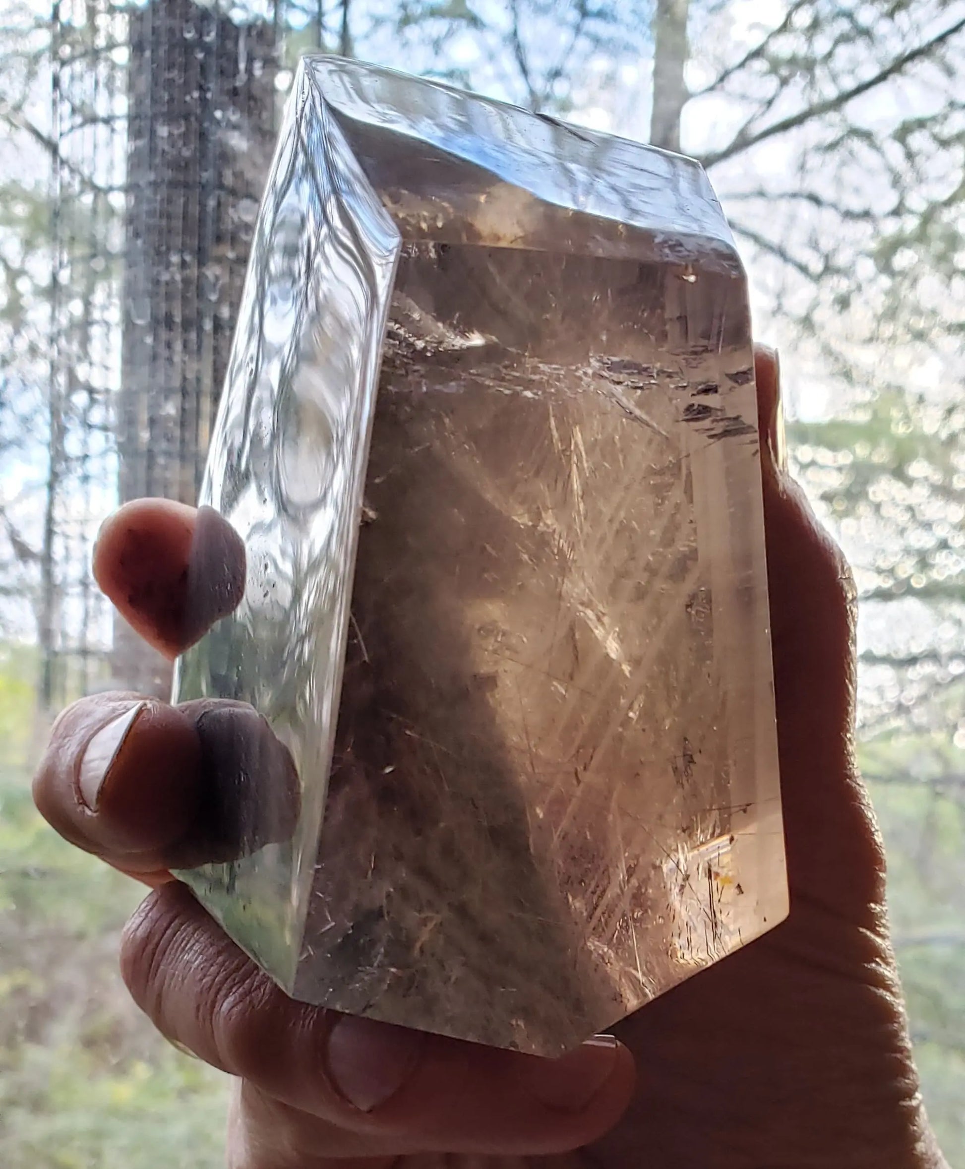 Large Garden Quartz Lodolite, Beautiful Inclusions, Spiritual Healing Crystal, Seaside and  Landscape Formation Etsy