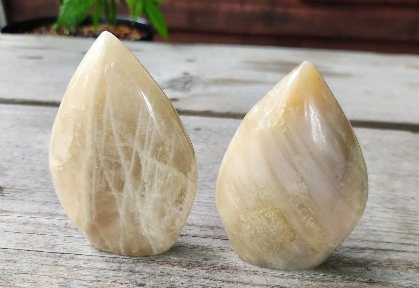 Moonstone Freeform Flat Flames, Shimmering Peach Moonstone Freeform, Peach Moonstone Flames, Carved Crystal Flame Etsy