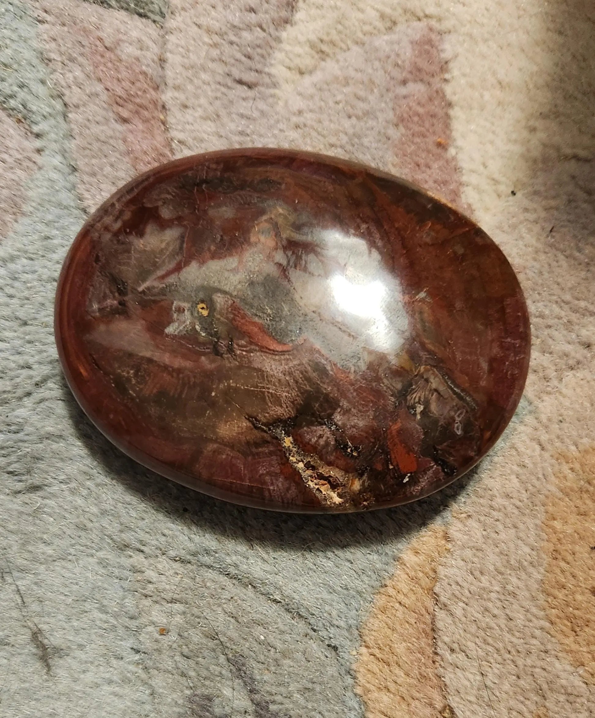 Petrified Fossilized Wood Palm Stones, Tumbled Stones, Healing Stones, Crystals, Healing Crystals, Earthy  Colors Browns Red Cream Orange Etsy