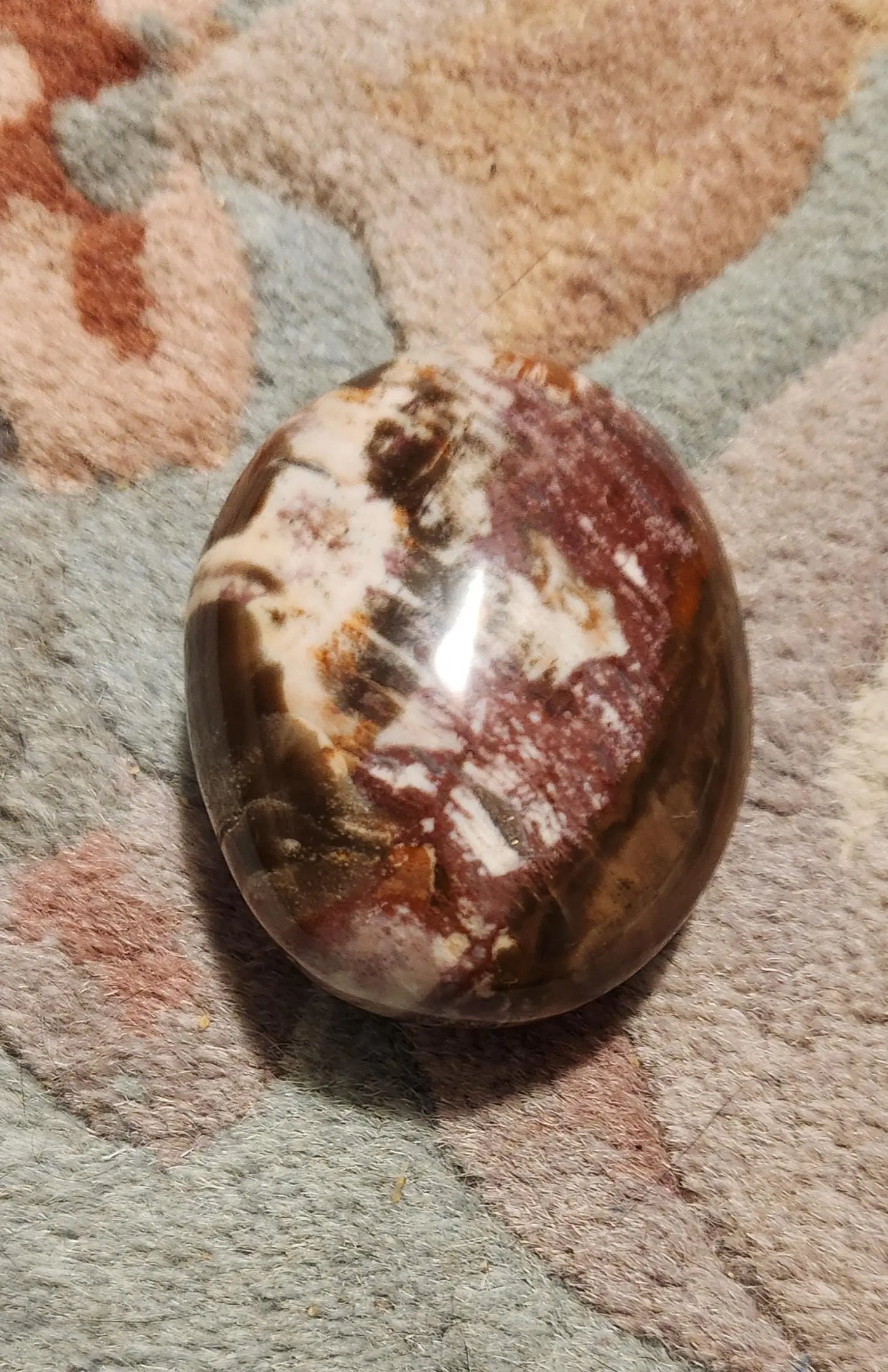 Petrified Fossilized Wood Palm Stones, Tumbled Stones, Healing Stones, Crystals, Healing Crystals, Earthy  Colors Browns Red Cream Orange Etsy