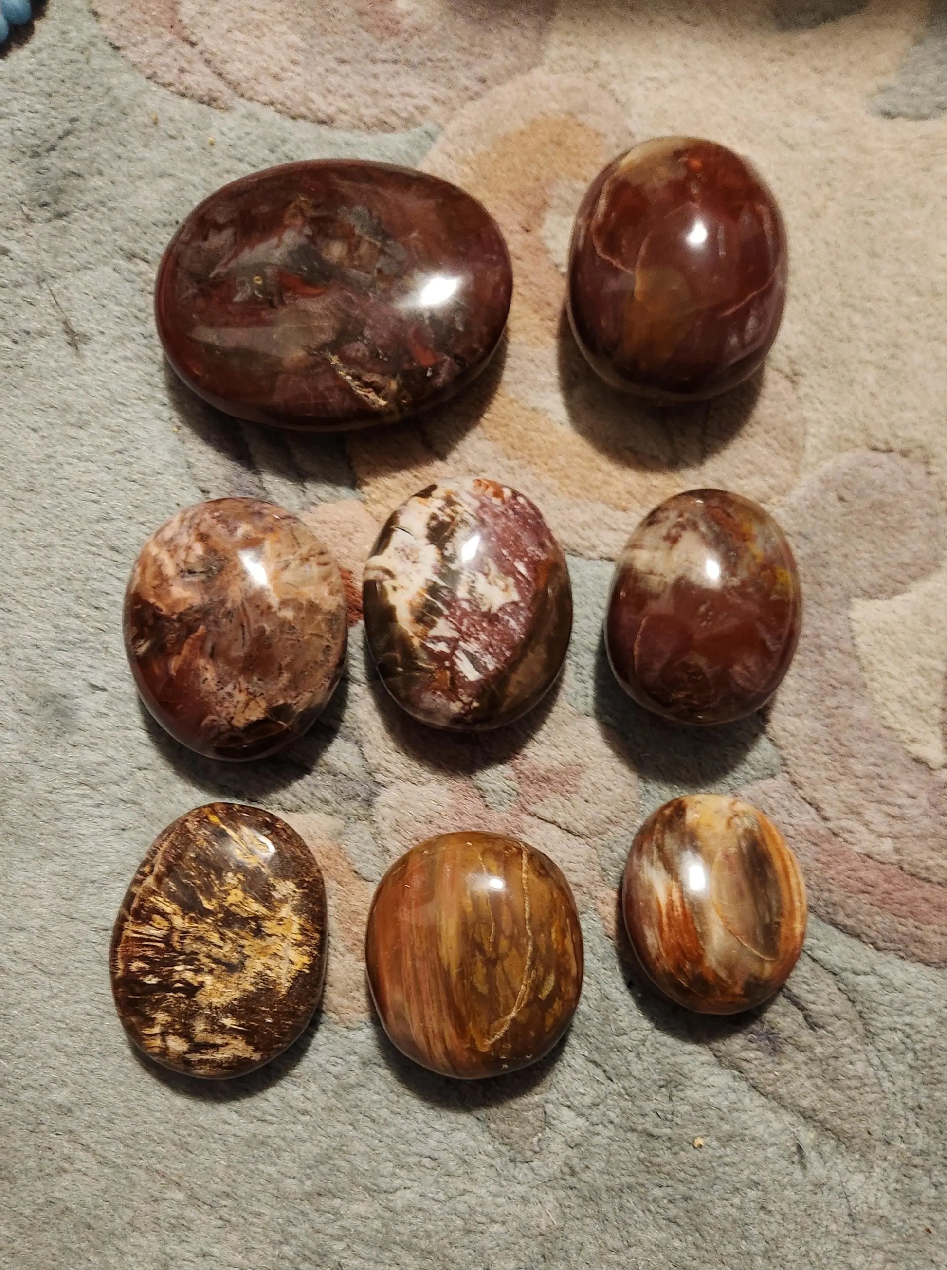 Petrified Fossilized Wood Palm Stones, Tumbled Stones, Healing Stones, Crystals, Healing Crystals, Earthy  Colors Browns Red Cream Orange Etsy