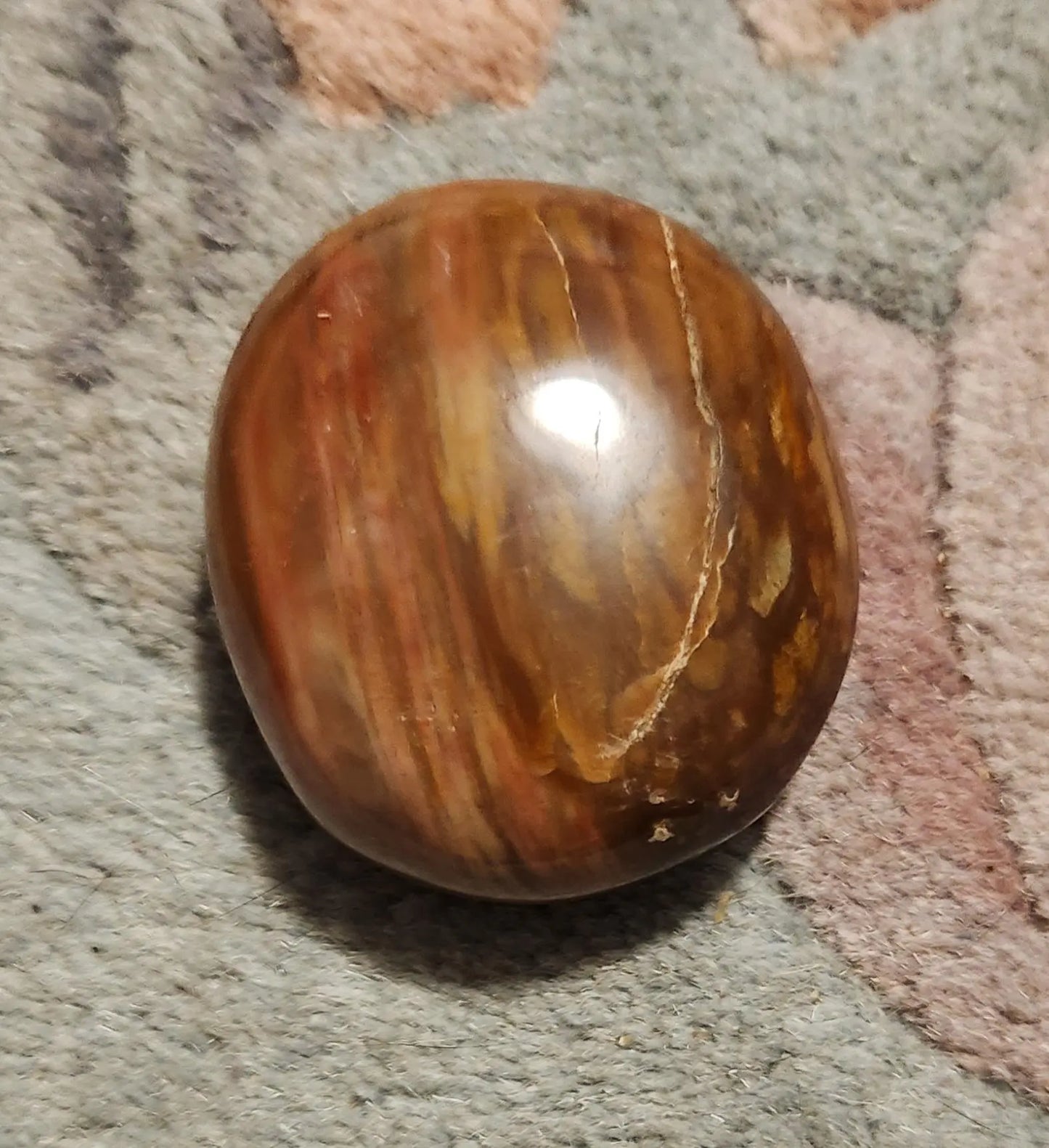 Petrified Fossilized Wood Palm Stones, Tumbled Stones, Healing Stones, Crystals, Healing Crystals, Earthy  Colors Browns Red Cream Orange Etsy