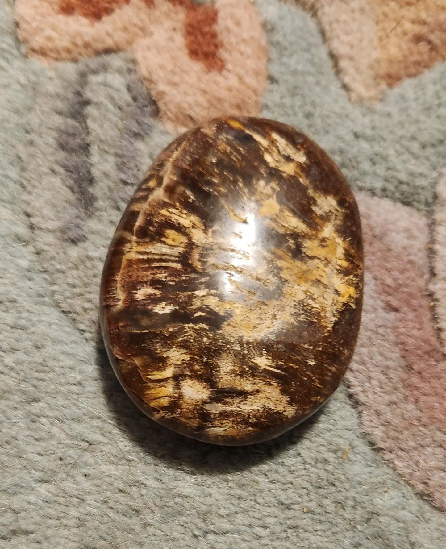 Petrified Fossilized Wood Palm Stones, Tumbled Stones, Healing Stones, Crystals, Healing Crystals, Earthy  Colors Browns Red Cream Orange Etsy