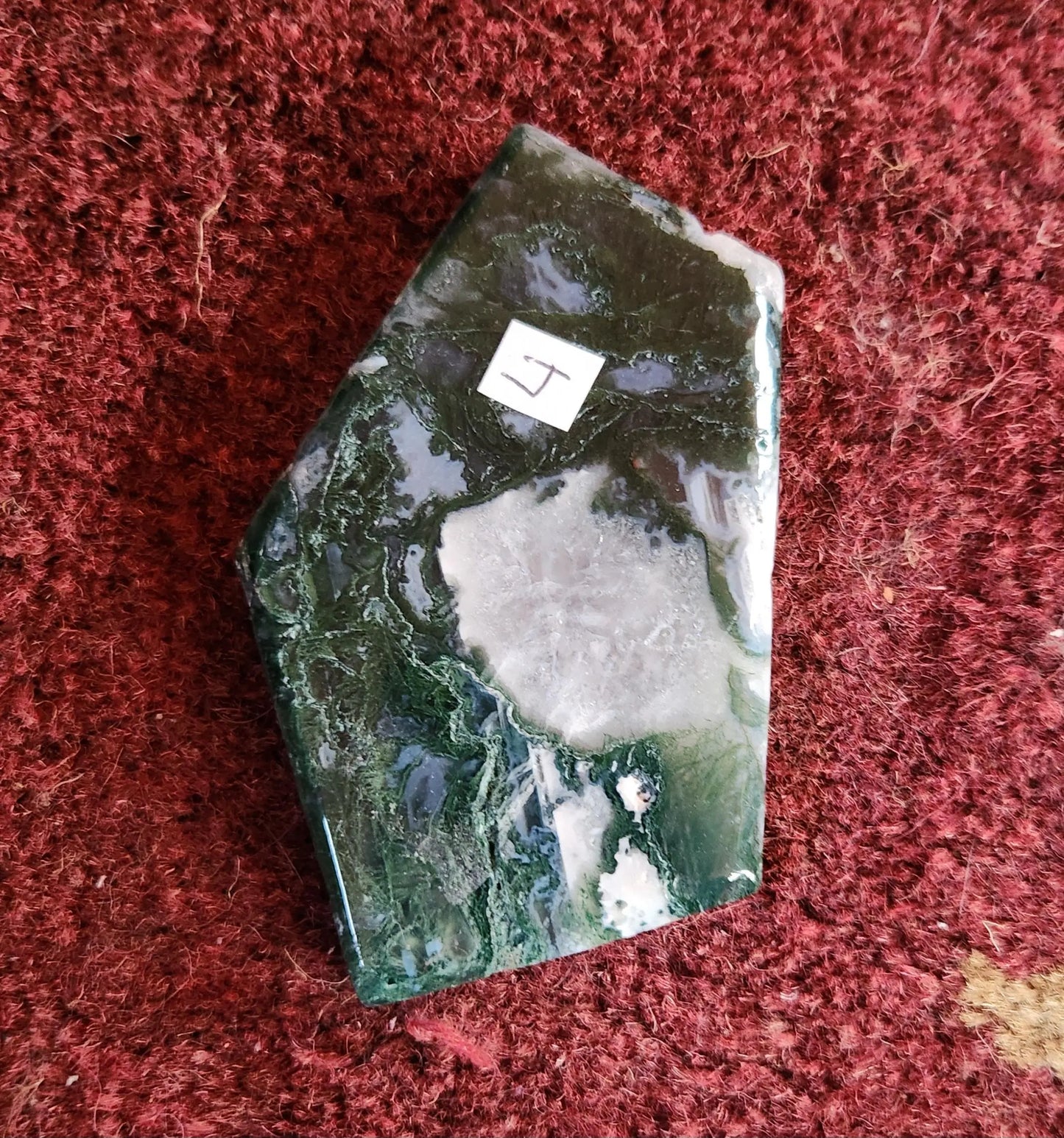 Small Moss Agate Slabs Etsy