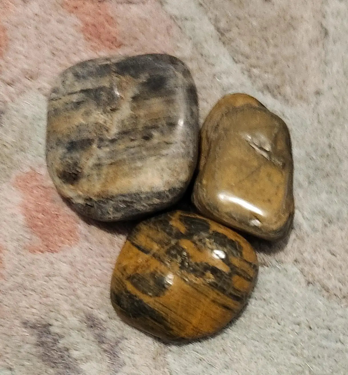 Stromatolite Tumbles, Stromatolite, Crystal Grid, Polished, Tumbled Stones, Stromatolite Fossils, Fossils, Crystal Shop Polished Fossil Etsy