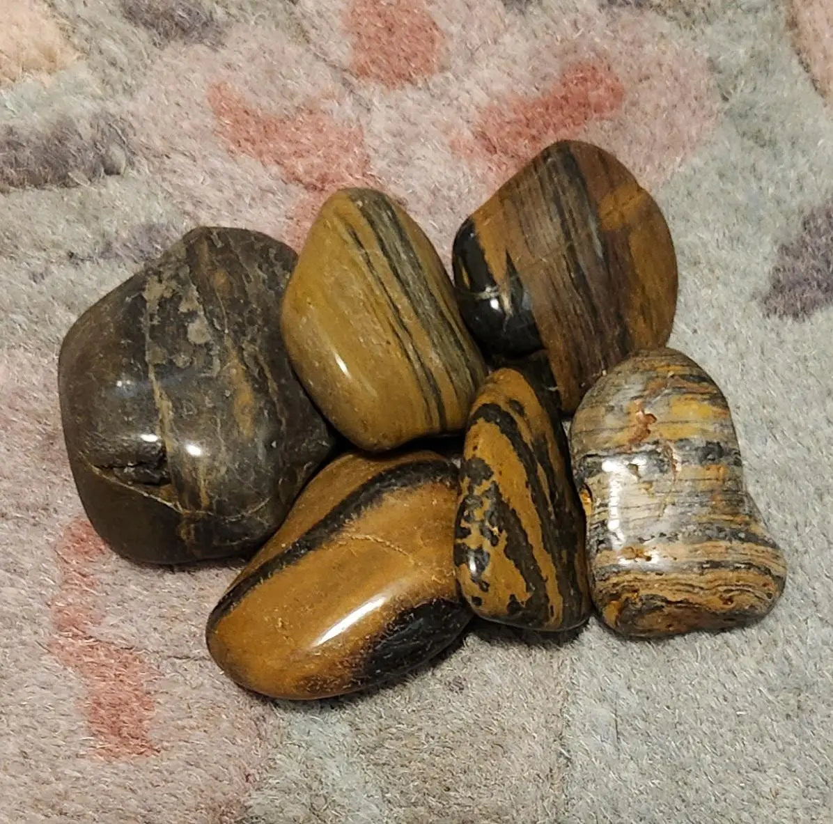 Stromatolite Tumbles, Stromatolite, Crystal Grid, Polished, Tumbled Stones, Stromatolite Fossils, Fossils, Crystal Shop Polished Fossil Etsy