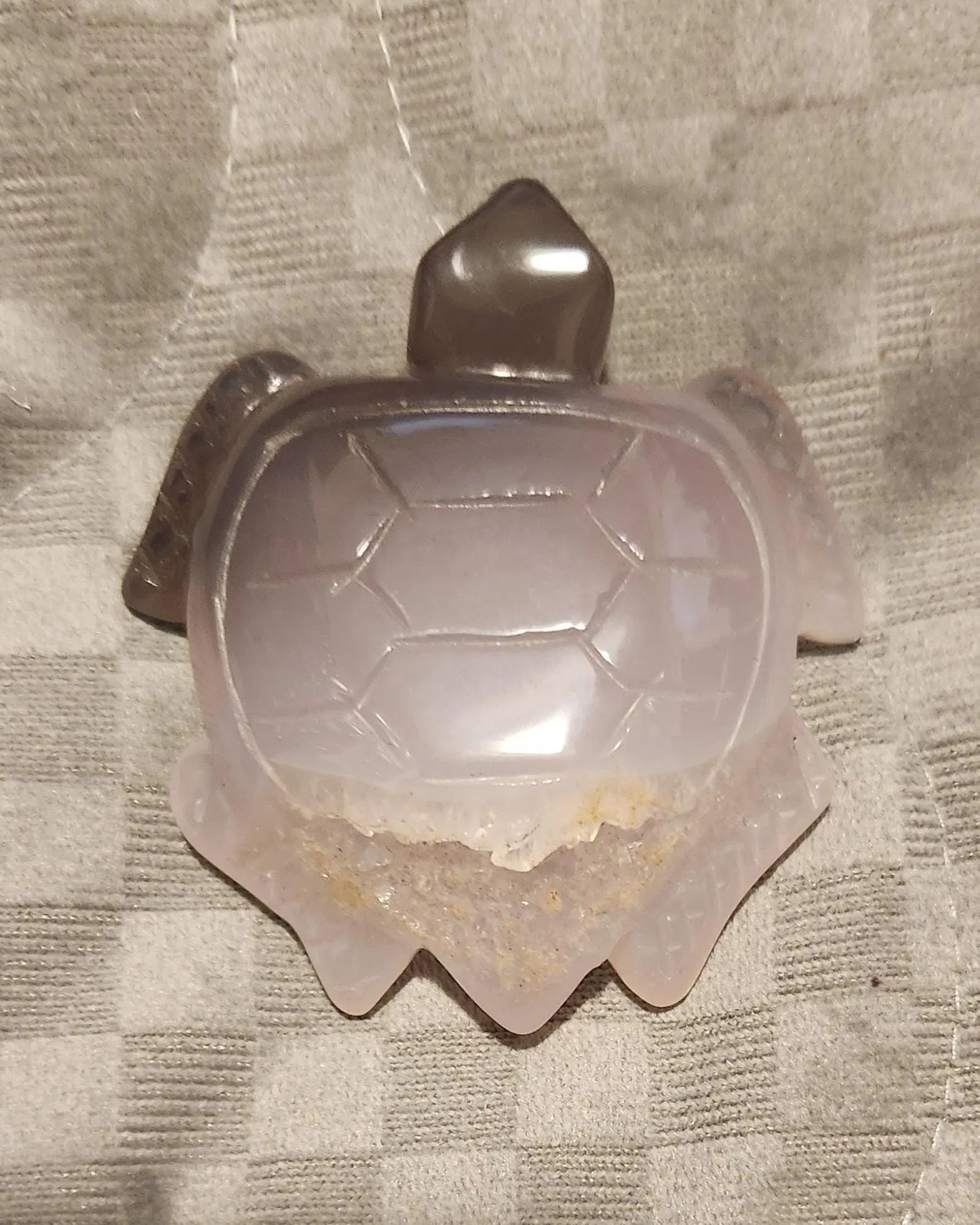 Druzy Agate Turtle and Frogs Etsy