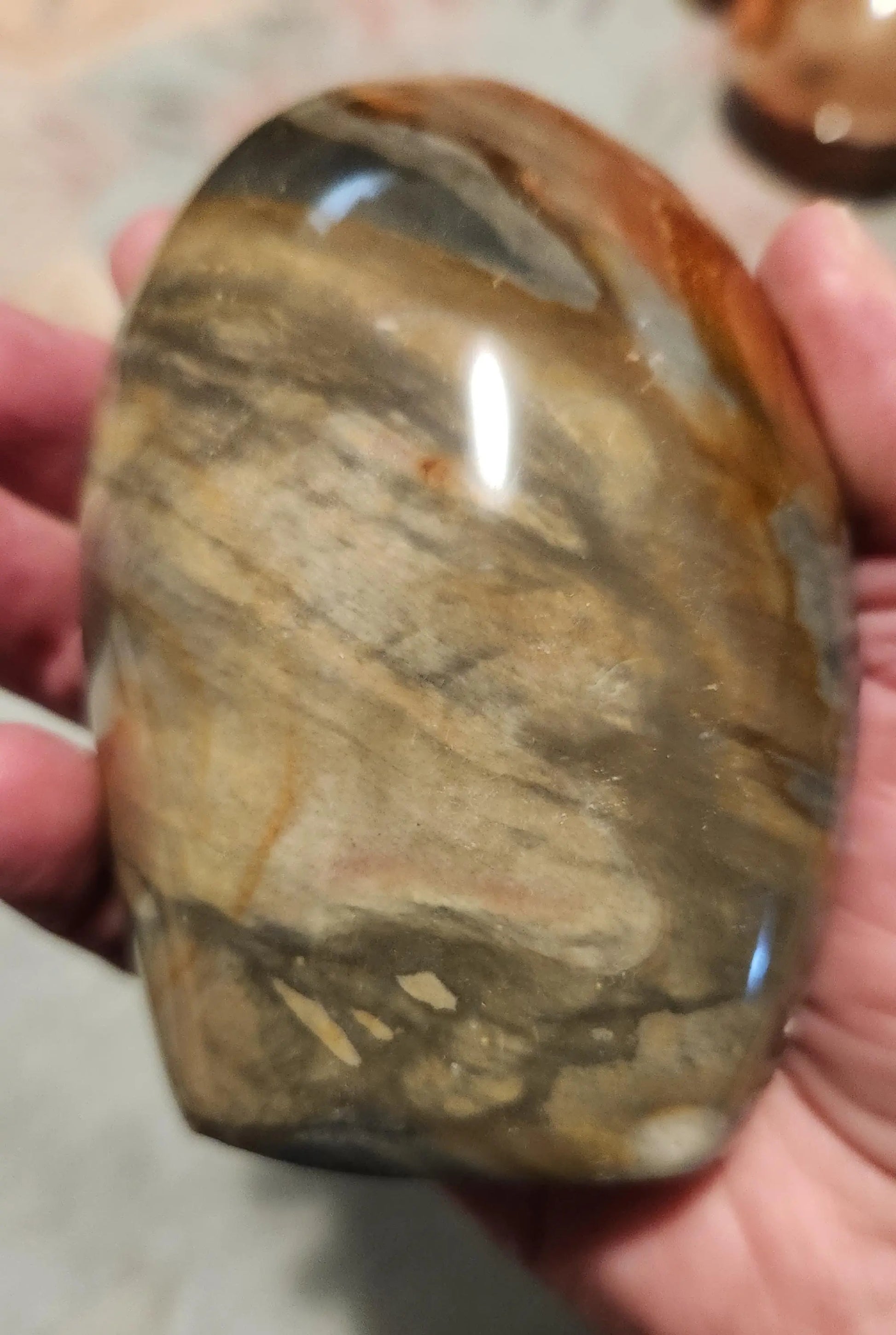 Polychrome Jasper Freeform, Desert Jasper Freeform, Earth Tones, Home Decor, Madagascar Jasper, Reduces Stress, Southwestern Decor Etsy