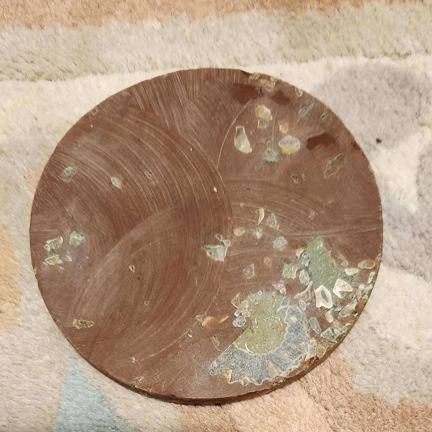 Ammonite Disc, Beautiful Display Disc, Fossil Ammonite, Cephalopods, Spiral-Shaped Shells, 110mm, 4.4"  Diameter Etsy