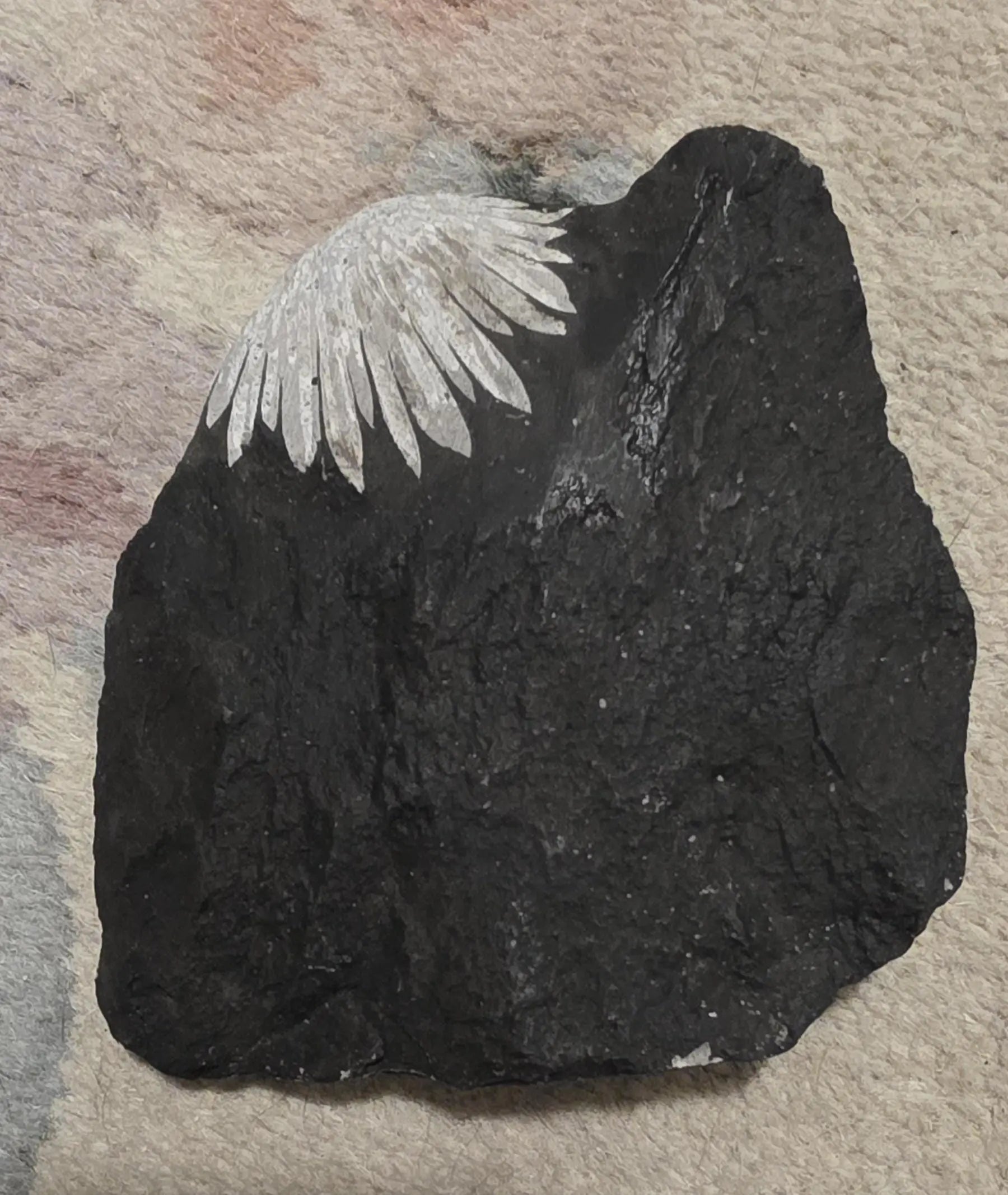 Chrysanthemum Stone, Flower Stone, ornamental rock, Protect your energy Fields Etsy