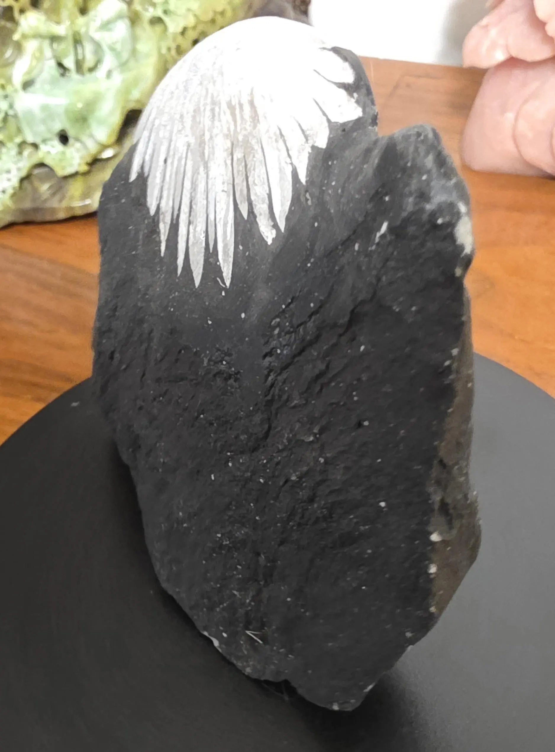 Chrysanthemum Stone, Flower Stone, ornamental rock, Protect your energy Fields Etsy