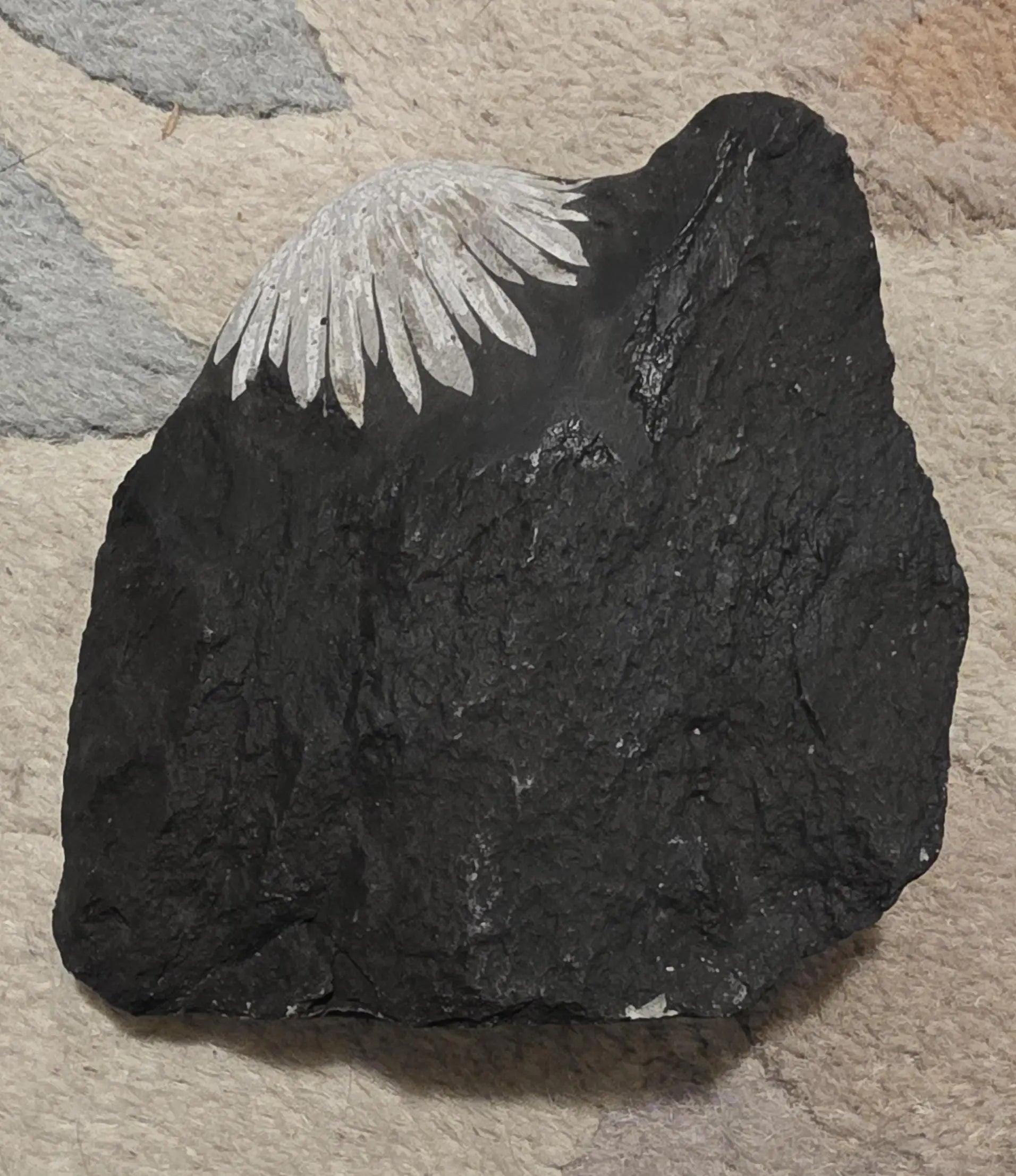 Chrysanthemum Stone, Flower Stone, ornamental rock, Protect your energy Fields Etsy