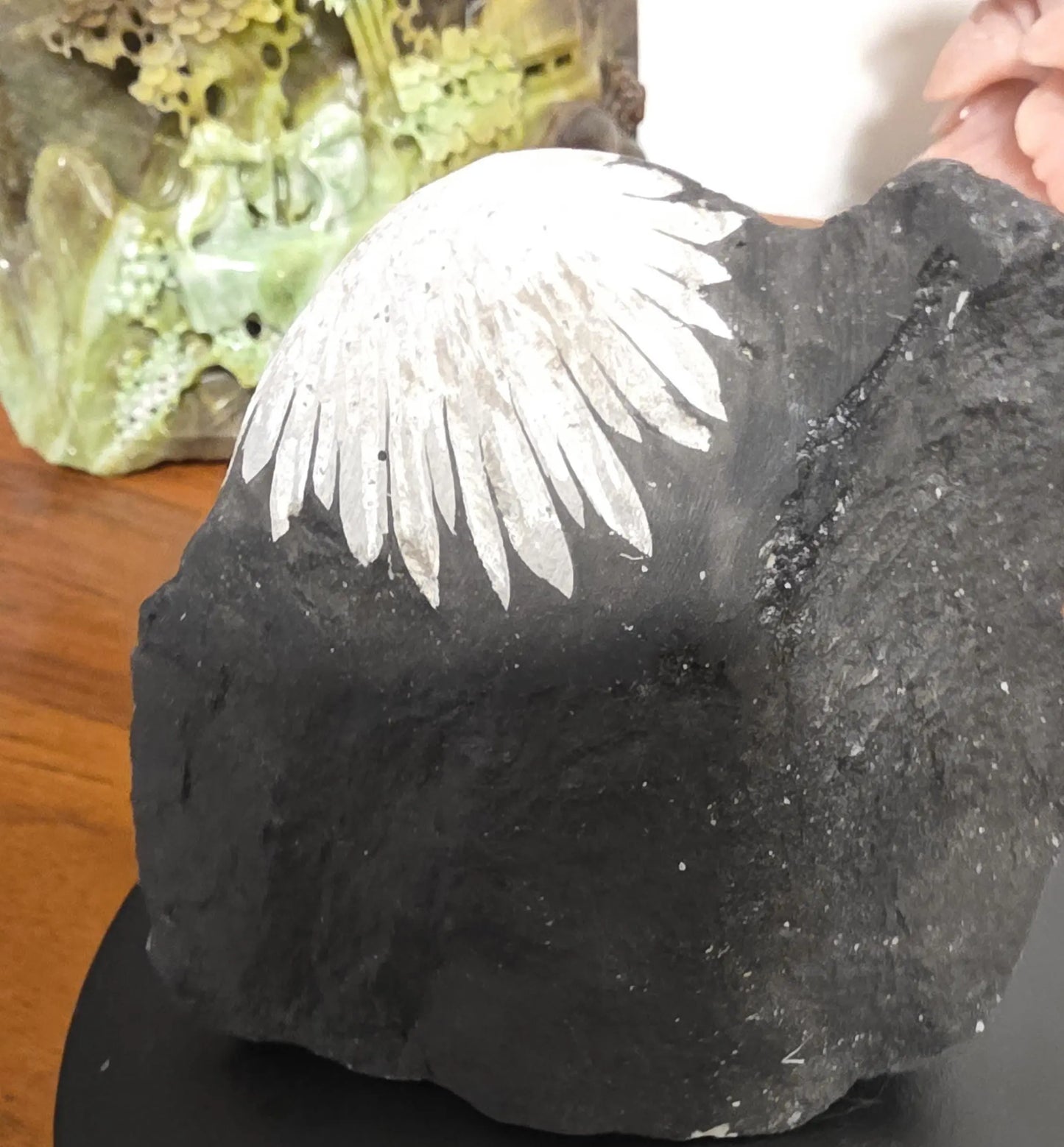Chrysanthemum Stone, Flower Stone, ornamental rock, Protect your energy Fields Etsy