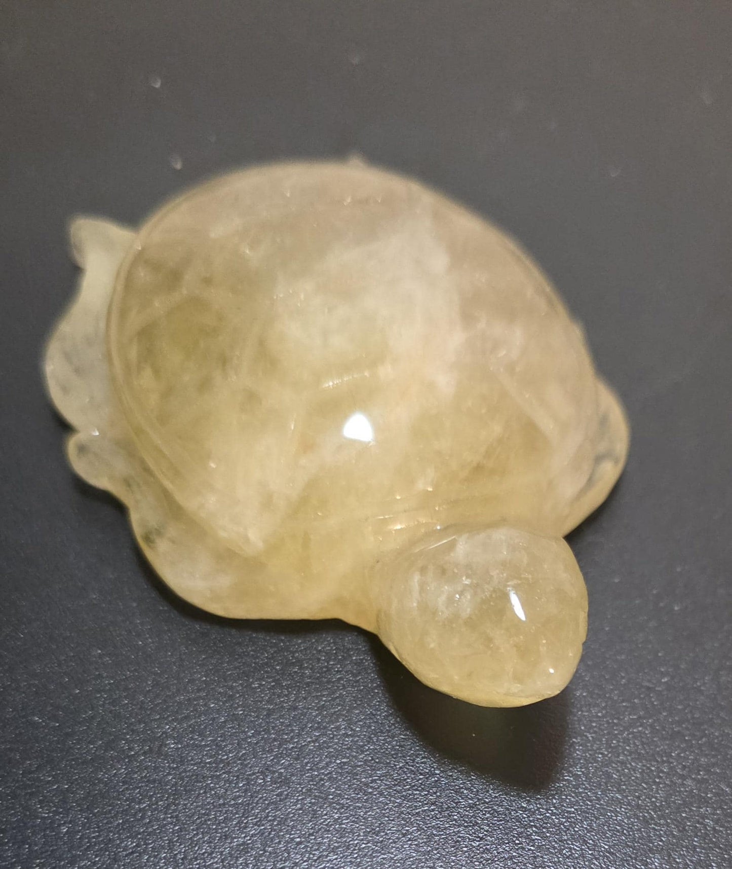 Carved Citrine Turtle