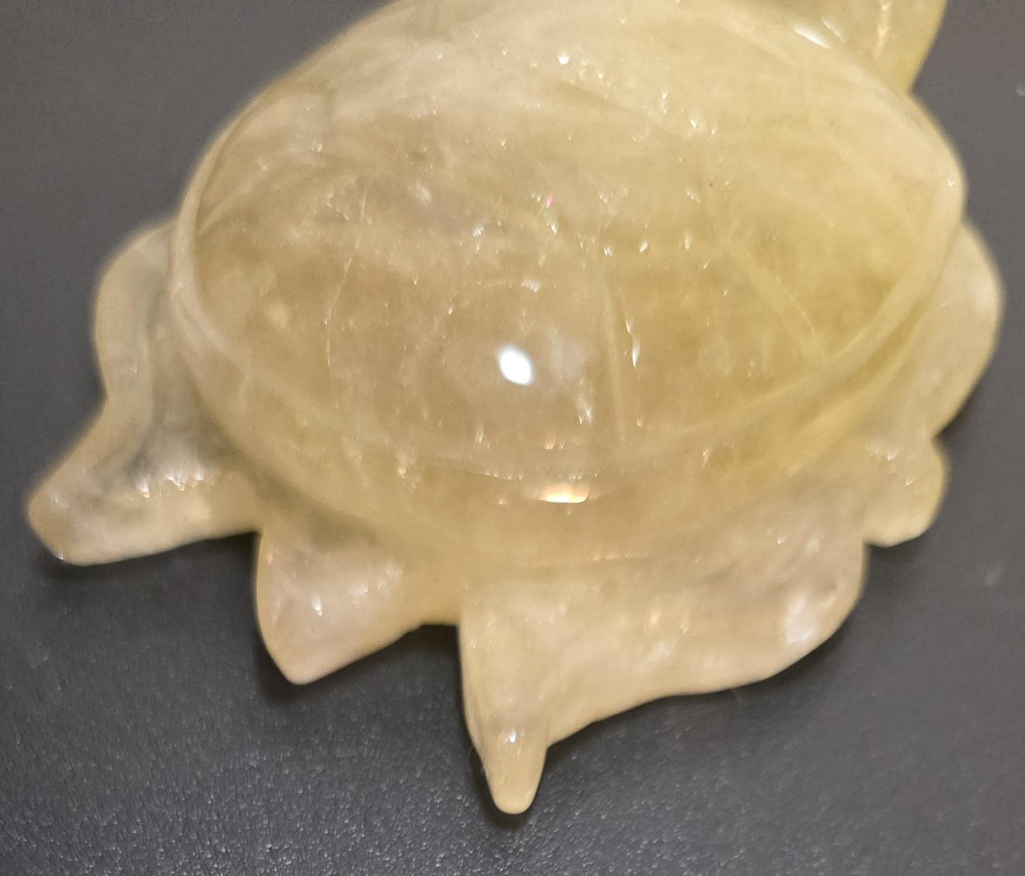 Carved Citrine Turtle