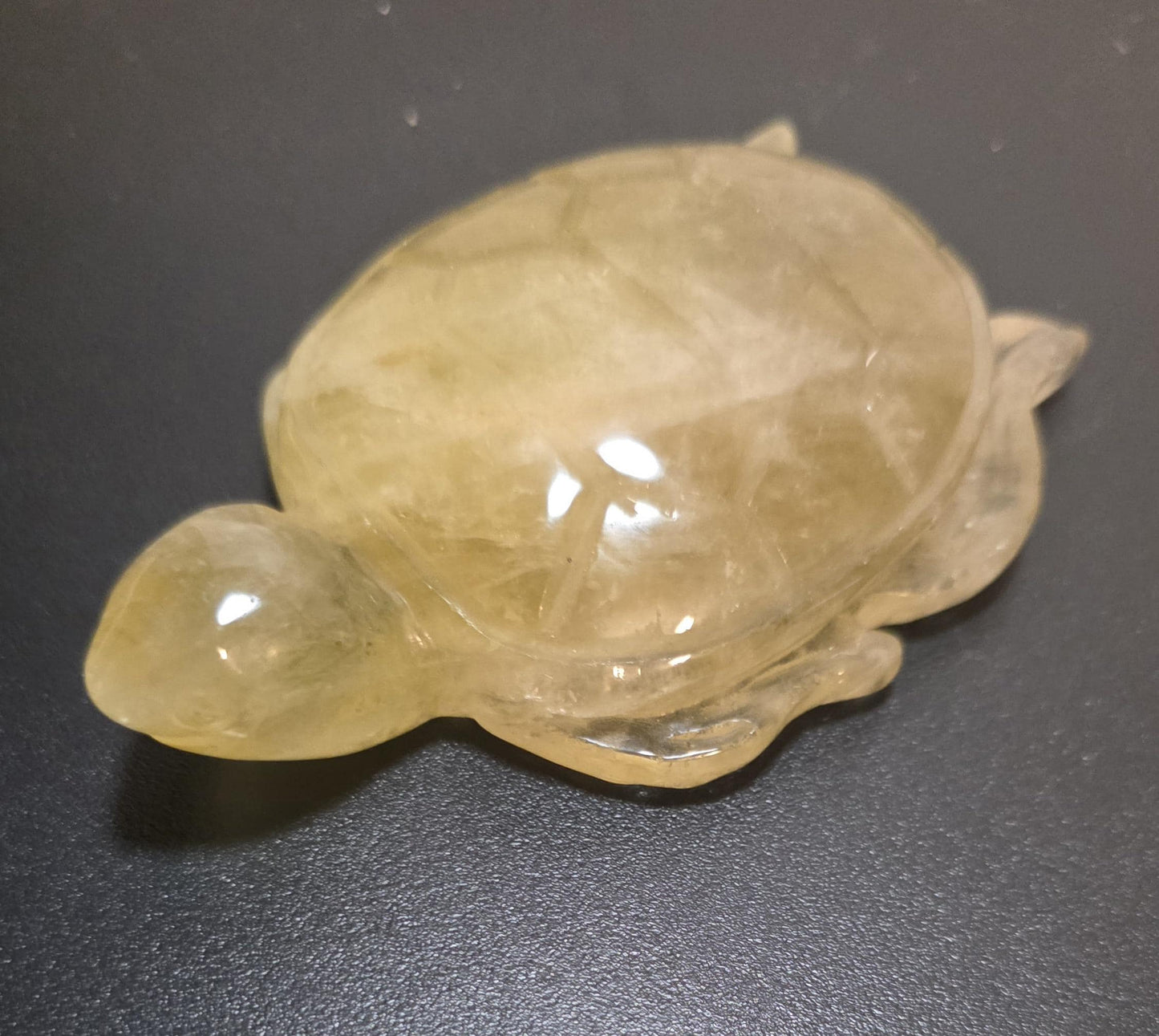 Carved Citrine Turtle